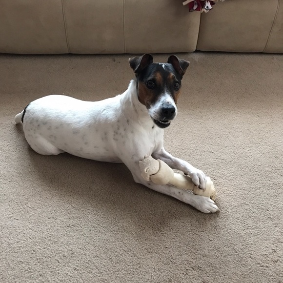 Meet your Posher, Cassie - Picture 1 of 1